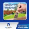 imagePro Grade  Paint Brushes  12Ea 2quot Angle Brushes