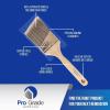 imagePro Grade  Paint Brushes  2Ea 3quot Angle Brushes