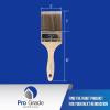imagePro Grade  Paint Brushes  2Ea 3quot Flat Brushes