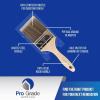 imagePro Grade  Paint Brushes  2Ea 3quot Flat Brushes